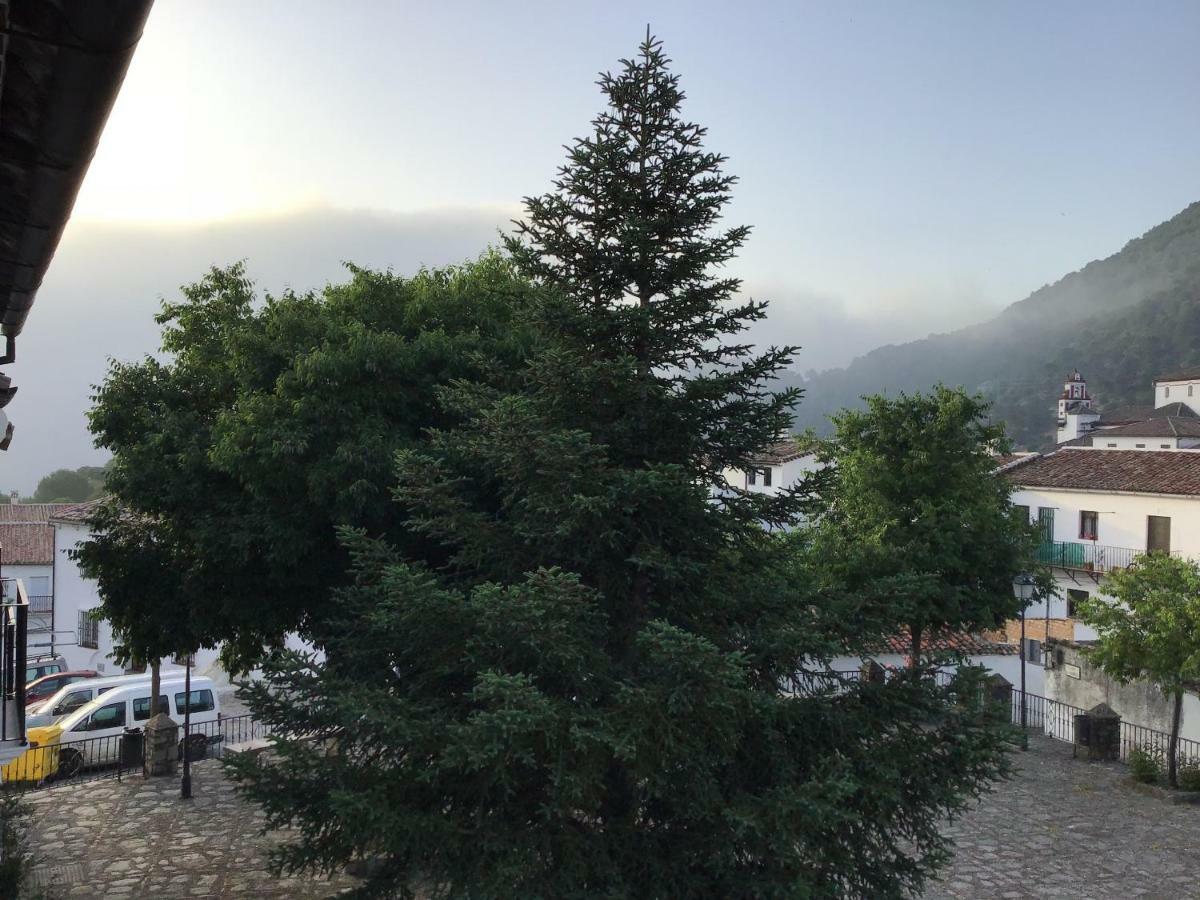 Vivelorural Casa Tassone, Grazalema - Cadiz Villa Bagian luar foto