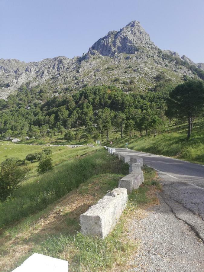 Vivelorural Casa Tassone, Grazalema - Cadiz Villa Bagian luar foto